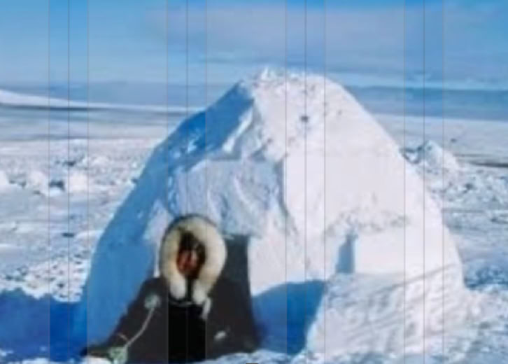 Igloo