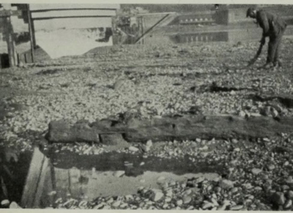 Berwick  1498 remains