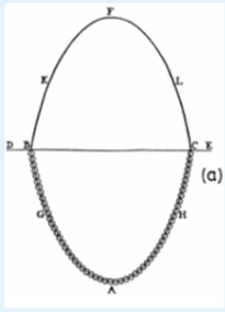 Catenary