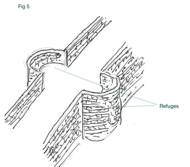 refuges